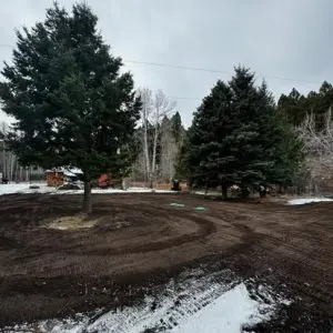 Excavator clearing land in Helena, MT