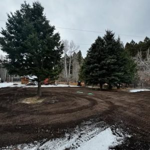 Excavator clearing land in Helena, MT